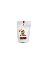 Café Pluma
