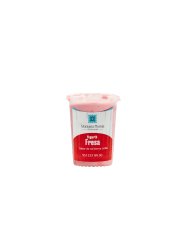 Yogurth artesanal