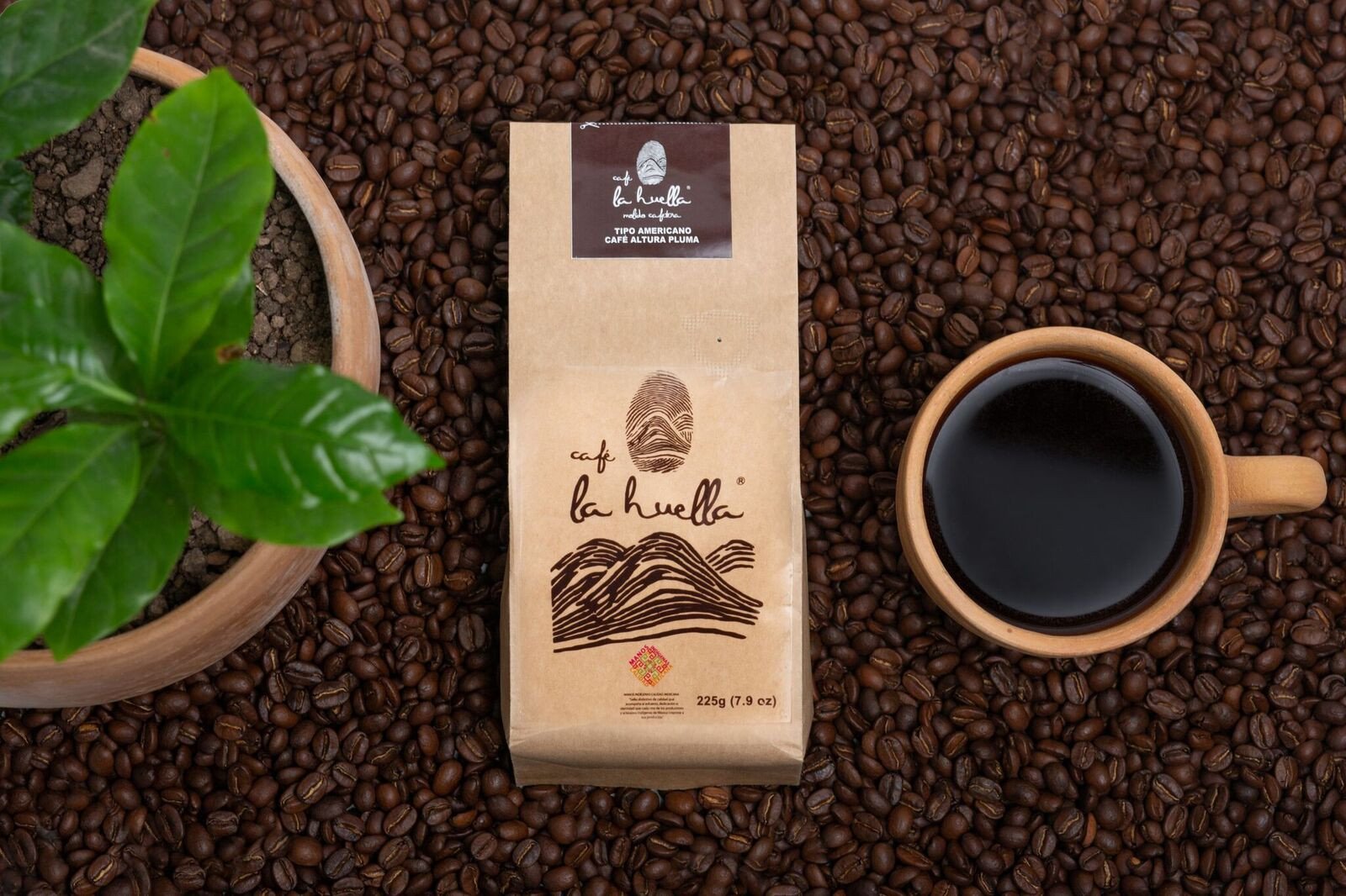 Café Nueva Era SA de CV